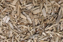 biomass boilers Drylaw